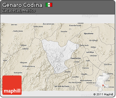 Classic Style 3D Map of Genaro Codina