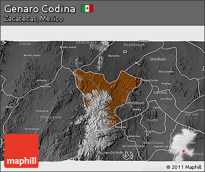 Physical 3D Map of Genaro Codina, desaturated