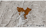 Physical 3D Map of Genaro Codina, lighten, semi-desaturated
