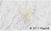 Shaded Relief 3D Map of Genaro Codina, lighten, desaturated