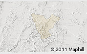 Shaded Relief 3D Map of Genaro Codina, lighten, semi-desaturated