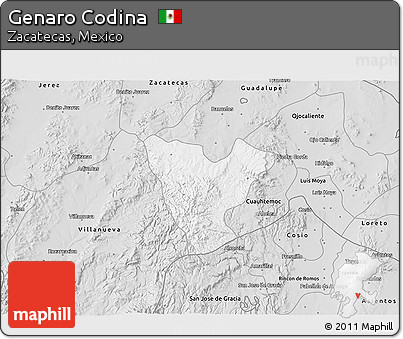 Silver Style 3D Map of Genaro Codina