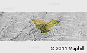 Satellite Panoramic Map of Genaro Codina, lighten, desaturated
