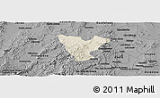 Shaded Relief Panoramic Map of Genaro Codina, darken, desaturated
