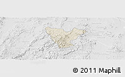 Shaded Relief Panoramic Map of Genaro Codina, lighten, desaturated