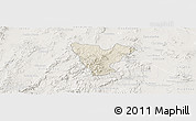 Shaded Relief Panoramic Map of Genaro Codina, lighten