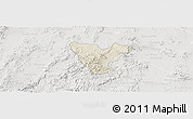 Shaded Relief Panoramic Map of Genaro Codina, lighten, semi-desaturated