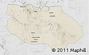 Shaded Relief 3D Map of General Francisco R. Murg, lighten, desaturated