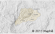 Shaded Relief 3D Map of Jimenez del Teul, lighten, desaturated