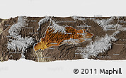 Physical Panoramic Map of Jimenez del Teul, semi-desaturated