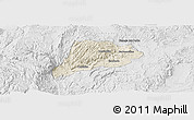 Shaded Relief Panoramic Map of Jimenez del Teul, lighten, desaturated