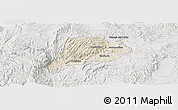 Shaded Relief Panoramic Map of Jimenez del Teul, lighten, semi-desaturated