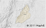 Shaded Relief 3D Map of Nochistlan de Mejia, lighten, desaturated