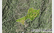 Satellite Map of Teul de Gonzalez Ortega, semi-desaturated