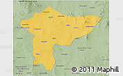 Savanna Style 3D Map of Villa de Cos