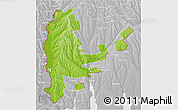 Physical 3D Map of Cahul, lighten, desaturated