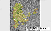 Satellite 3D Map of Cahul, desaturated