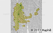Satellite 3D Map of Cahul, lighten, desaturated
