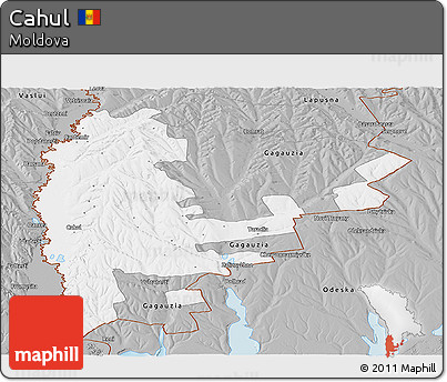 Gray Panoramic Map of Cahul