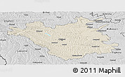 Shaded Relief Panoramic Map of Chisinau, desaturated