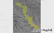 Satellite 3D Map of Dubasari, desaturated