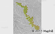 Satellite 3D Map of Dubasari, lighten, desaturated