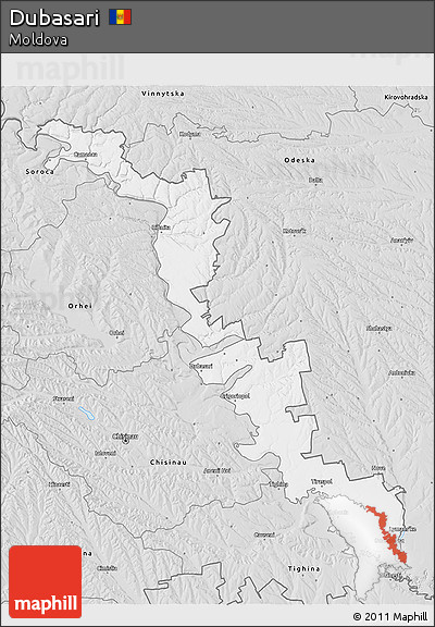 Silver Style 3D Map of Dubasari