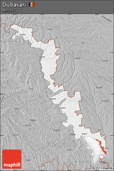 Gray Map of Dubasari