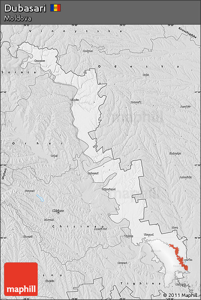 Silver Style Map of Dubasari
