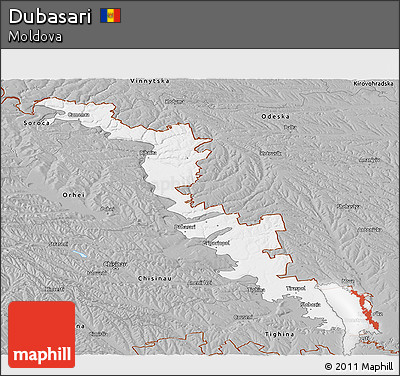 Gray Panoramic Map of Dubasari