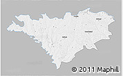 Gray 3D Map of Edinet, single color outside