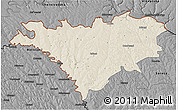 Shaded Relief 3D Map of Edinet, darken, desaturated