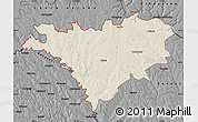Shaded Relief Map of Edinet, darken, desaturated