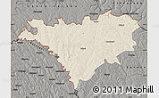 Shaded Relief Map of Edinet, darken, semi-desaturated