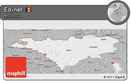 Gray Panoramic Map of Edinet