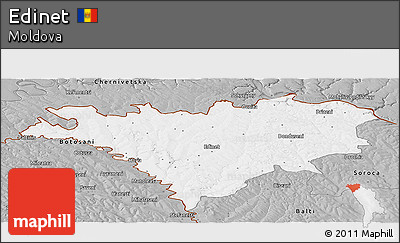 Gray Panoramic Map of Edinet