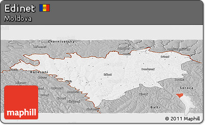 Gray Panoramic Map of Edinet