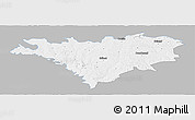 Gray Panoramic Map of Edinet, single color outside