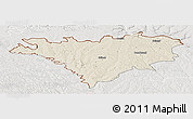 Shaded Relief Panoramic Map of Edinet, lighten, semi-desaturated
