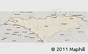 Shaded Relief Panoramic Map of Edinet, semi-desaturated