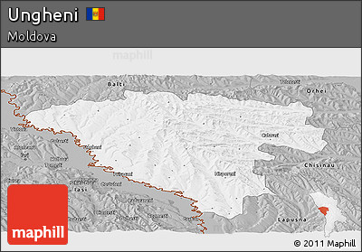 Gray Panoramic Map of Ungheni