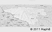 Silver Style Panoramic Map of Ungheni