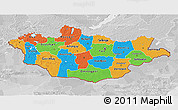 Political 3D Map of Mongolia, lighten, desaturated
