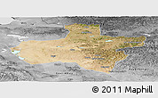 Satellite Panoramic Map of Dzavhan, desaturated