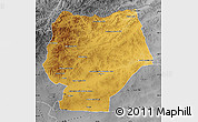 Physical Map of Hentiy, desaturated