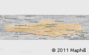 Satellite Panoramic Map of Omnogovi, desaturated