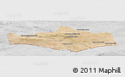 Satellite Panoramic Map of Omnogovi, lighten, desaturated