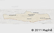 Shaded Relief Panoramic Map of Omnogovi, lighten, semi-desaturated