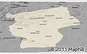 Shaded Relief Panoramic Map of Ovorhangay, darken, desaturated