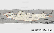 Shaded Relief Panoramic Map of Mongolia, darken, semi-desaturated